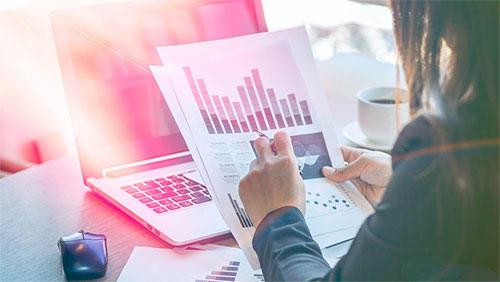 Statutory audits